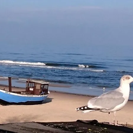 Froehling - 90 M Zum Heringsdorf (Usedom)
