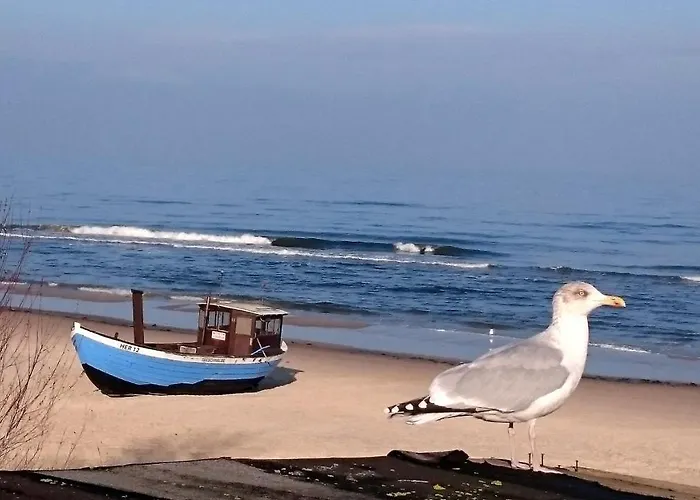Froehling - 90 M Zum Heringsdorf (Usedom)